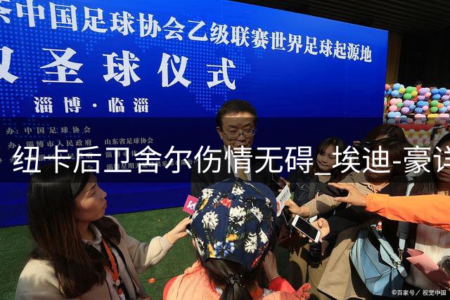 纽卡后卫舍尔伤情无碍 埃迪-豪详解季前赛练兵意图